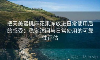把天美蜜桃麻花果冻放进日常使用后的感受：稳定访问与日常使用的可靠性评估