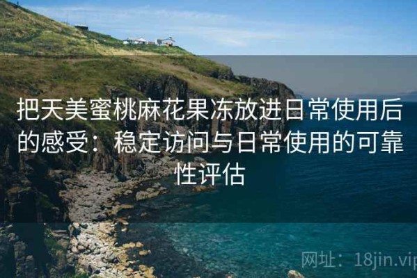 把天美蜜桃麻花果冻放进日常使用后的感受：稳定访问与日常使用的可靠性评估