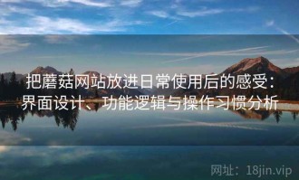 把蘑菇网站放进日常使用后的感受：界面设计、功能逻辑与操作习惯分析