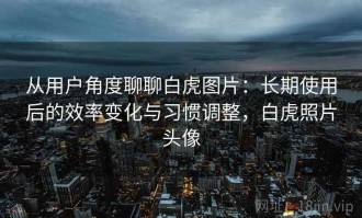 从用户角度聊聊白虎图片：长期使用后的效率变化与习惯调整，白虎照片头像