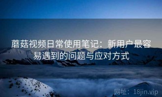 蘑菇视频日常使用笔记：新用户最容易遇到的问题与应对方式