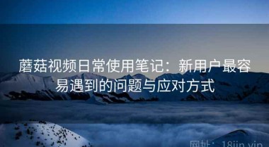 蘑菇视频日常使用笔记：新用户最容易遇到的问题与应对方式