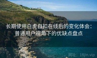 长期使用白虎自扣在线后的变化体会：普通用户视角下的优缺点盘点