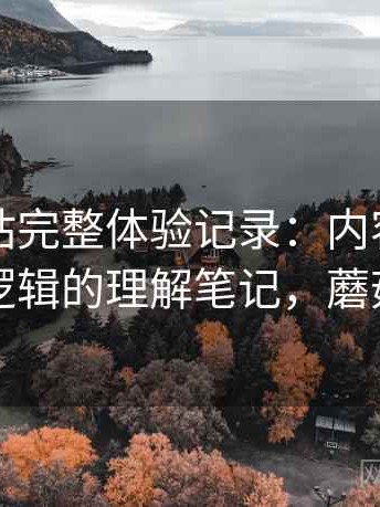 蘑菇网站完整体验记录：内容分类与推荐逻辑的理解笔记，蘑菇网片