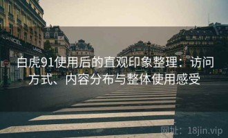 白虎91使用后的直观印象整理：访问方式、内容分布与整体使用感受