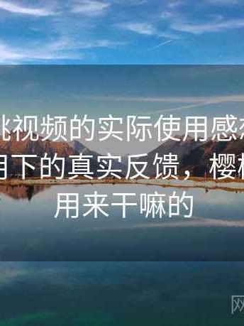 围绕樱桃视频的实际使用感想：日常高频使用下的真实反馈，樱桃视频是用来干嘛的