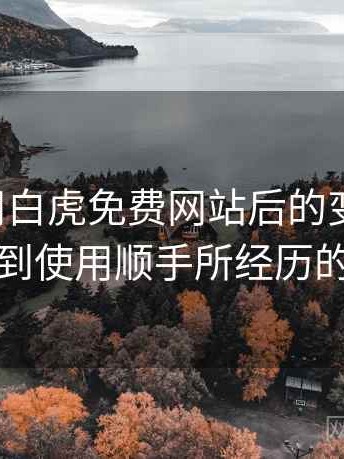 长期使用白虎免费网站后的变化体会：从打开到使用顺手所经历的全过程