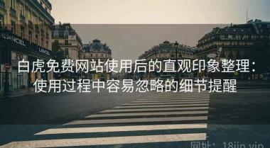 白虎免费网站使用后的直观印象整理：使用过程中容易忽略的细节提醒