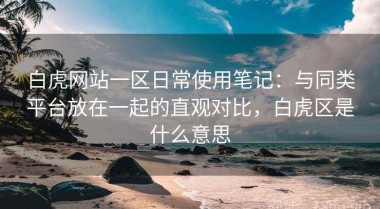 白虎网站一区日常使用笔记：与同类平台放在一起的直观对比，白虎区是什么意思