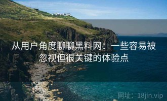 从用户角度聊聊黑料网：一些容易被忽视但很关键的体验点