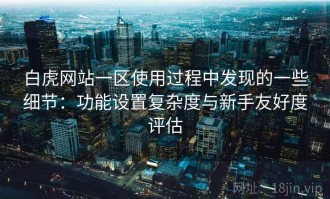 白虎网站一区使用过程中发现的一些细节：功能设置复杂度与新手友好度评估