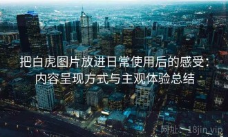 把白虎图片放进日常使用后的感受：内容呈现方式与主观体验总结