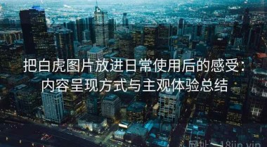 把白虎图片放进日常使用后的感受：内容呈现方式与主观体验总结