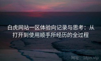 白虎网站一区体验向记录与思考：从打开到使用顺手所经历的全过程