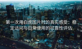 第一次用白虎图片时的真实感受：稳定访问与日常使用的可靠性评估