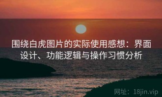 围绕白虎图片的实际使用感想：界面设计、功能逻辑与操作习惯分析