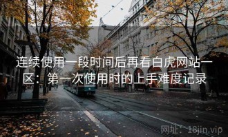 连续使用一段时间后再看白虎网站一区：第一次使用时的上手难度记录