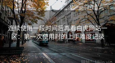 连续使用一段时间后再看白虎网站一区：第一次使用时的上手难度记录