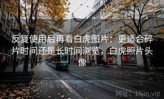 反复使用后再看白虎图片：更适合碎片时间还是长时间浏览，白虎照片头像