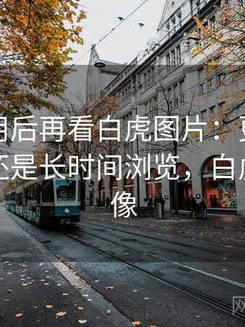 反复使用后再看白虎图片：更适合碎片时间还是长时间浏览，白虎照片头像