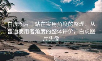 白虎图片｜站在实用角度的整理：从普通使用者角度的整体评价，白虎图片头像