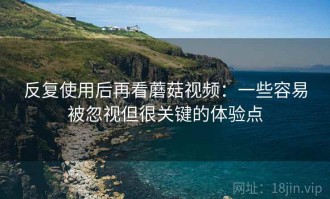 反复使用后再看蘑菇视频：一些容易被忽视但很关键的体验点