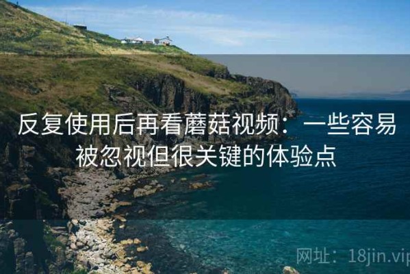 反复使用后再看蘑菇视频：一些容易被忽视但很关键的体验点