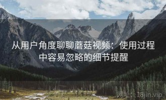 从用户角度聊聊蘑菇视频：使用过程中容易忽略的细节提醒