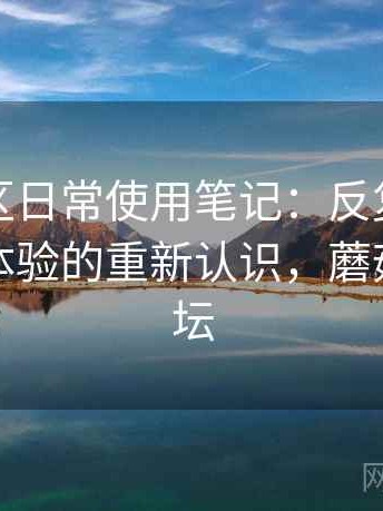 蘑菇社区日常使用笔记：反复使用后对整体体验的重新认识，蘑菇游戏论坛