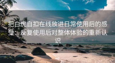把白虎自扣在线放进日常使用后的感受：反复使用后对整体体验的重新认识