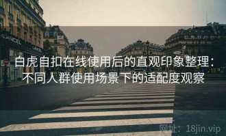 白虎自扣在线使用后的直观印象整理：不同人群使用场景下的适配度观察