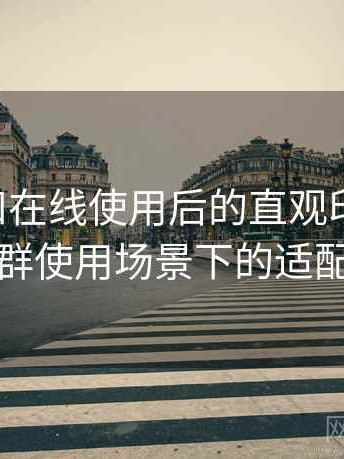 白虎自扣在线使用后的直观印象整理：不同人群使用场景下的适配度观察
