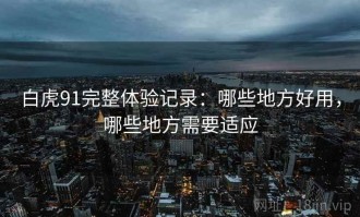 白虎91完整体验记录：哪些地方好用，哪些地方需要适应