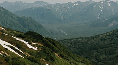 天美密桃果冻mv使用过程中发现的一些细节：新用户最容易遇到的问题与应对方式