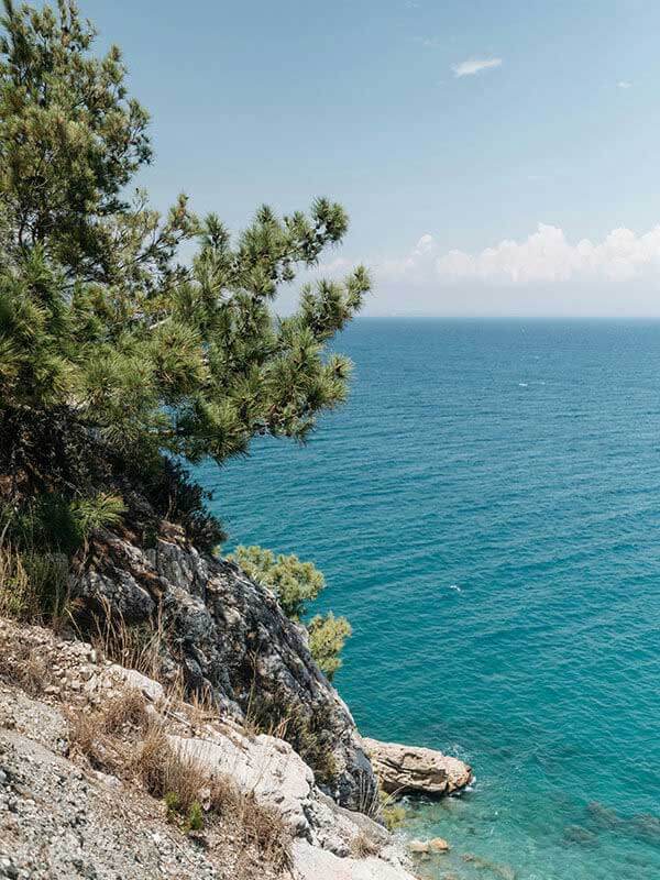 白虎图片不完全体验说明：功能设置复杂度与新手友好度评估，白虎图片q版