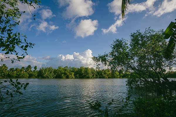 蘑菇tv不完全体验说明：使用过程中容易忽略的细节提醒，蘑菇剧场不能看了