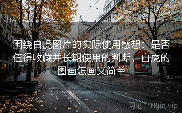围绕白虎图片的实际使用感想：是否值得收藏并长期使用的判断，白虎的图画怎画又简单