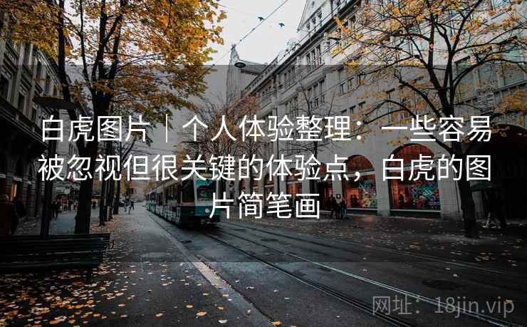 白虎图片｜个人体验整理：一些容易被忽视但很关键的体验点，白虎的图片简笔画