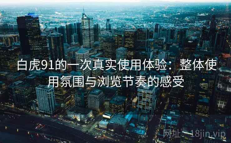 白虎91的一次真实使用体验：整体使用氛围与浏览节奏的感受