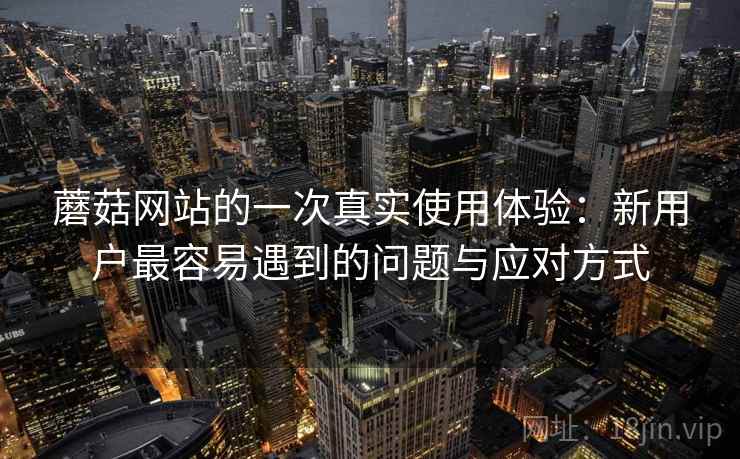 蘑菇网站的一次真实使用体验：新用户最容易遇到的问题与应对方式