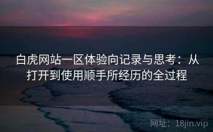 白虎网站一区体验向记录与思考：从打开到使用顺手所经历的全过程