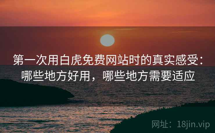 第一次用白虎免费网站时的真实感受：哪些地方好用，哪些地方需要适应