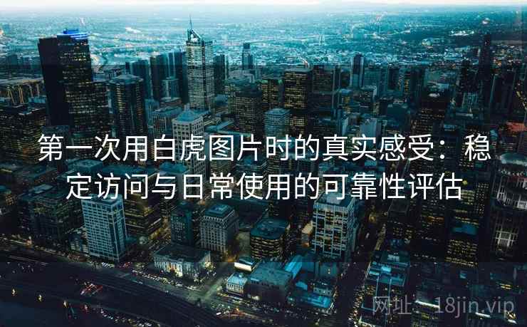 第一次用白虎图片时的真实感受:稳定访问与日常使用的可靠性评估 第一次用白虎图片时的真实感受:稳定访问与日常使用的可靠性评估
