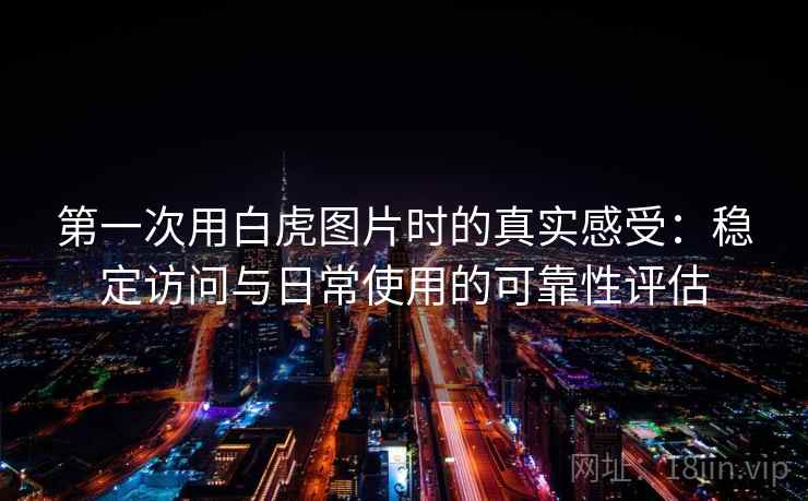第一次用白虎图片时的真实感受:稳定访问与日常使用的可靠性评估 第一次用白虎图片时的真实感受:稳定访问与日常使用的可靠性评估