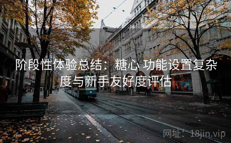 阶段性体验总结：糖心 功能设置复杂度与新手友好度评估