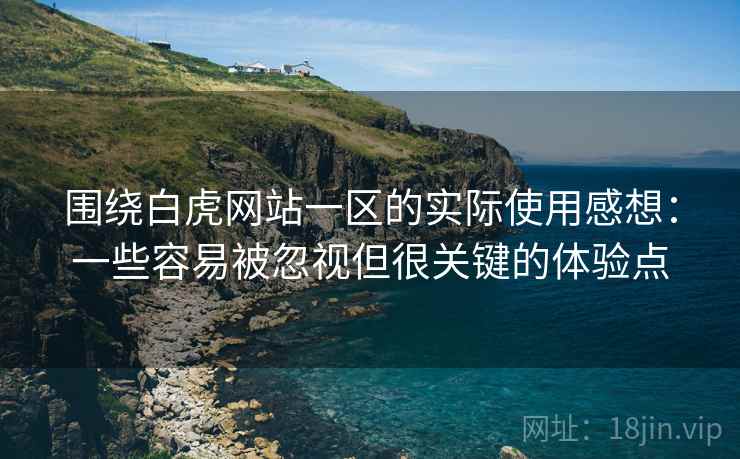 围绕白虎网站一区的实际使用感想：一些容易被忽视但很关键的体验点