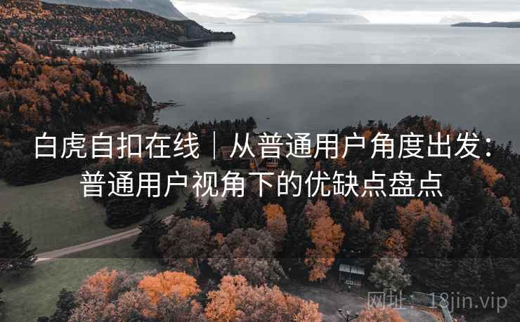 白虎自扣在线｜从普通用户角度出发：普通用户视角下的优缺点盘点