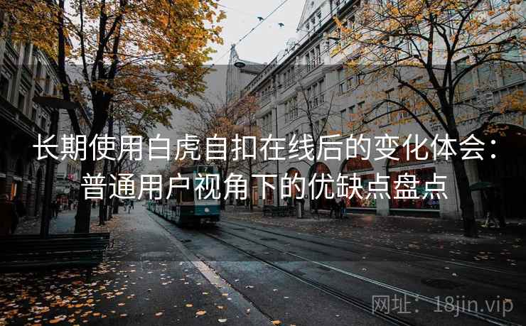 长期使用白虎自扣在线后的变化体会：普通用户视角下的优缺点盘点