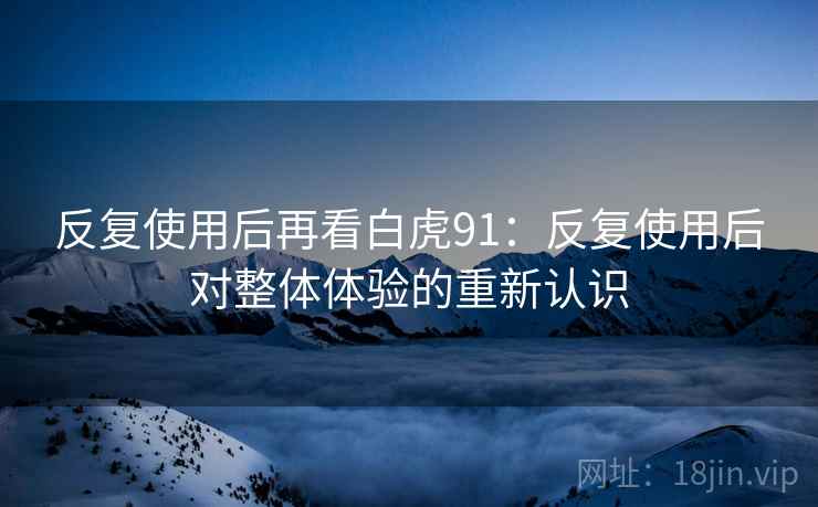 反复使用后再看白虎91：反复使用后对整体体验的重新认识