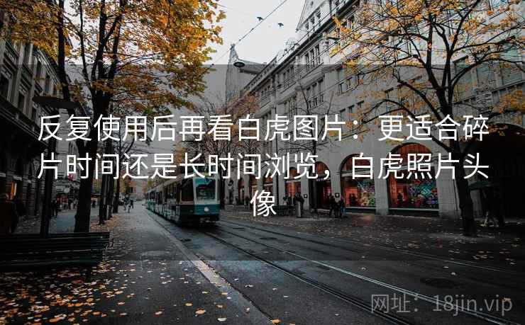 反复使用后再看白虎图片：更适合碎片时间还是长时间浏览，白虎照片头像